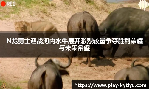 N龙勇士迎战河内水牛展开激烈较量争夺胜利荣耀与未来希望